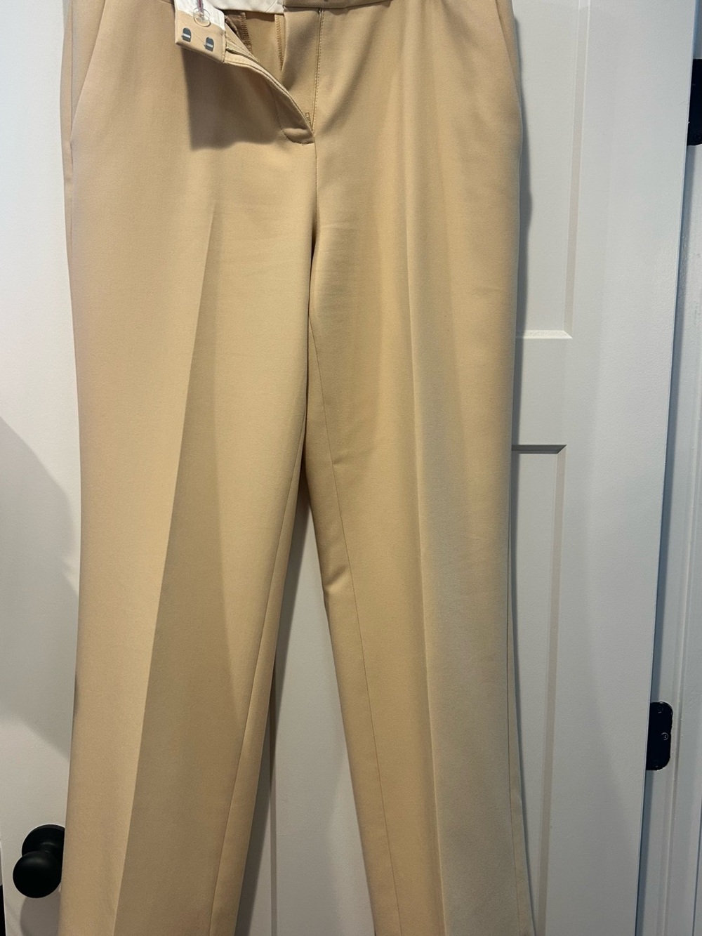 Karl Lagerfeld Classic Wide-Leg Dress Pants in Light Beige